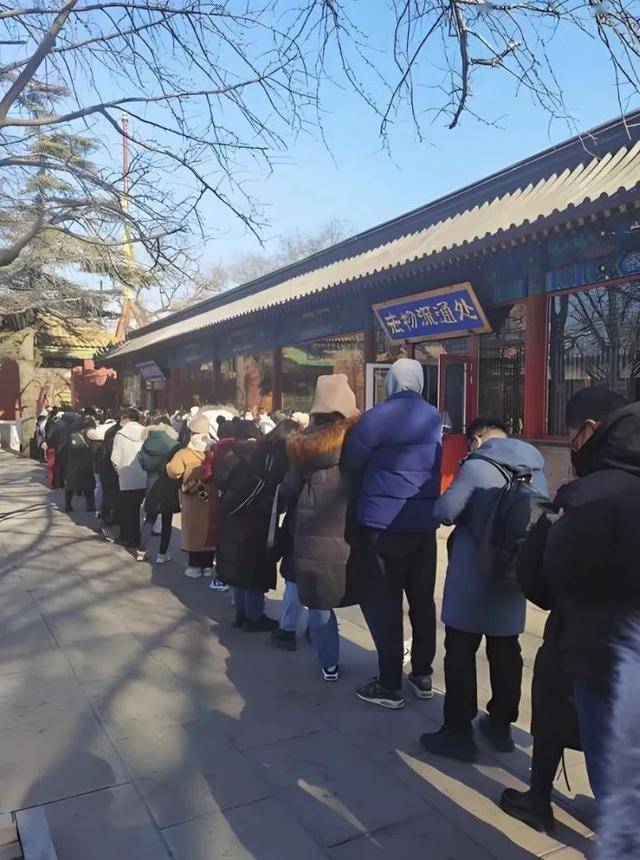 年后这些“小赚”行业在全网爆火开元棋牌“发大财难如登天”过